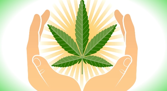 MARIHUANA MEDICINAL