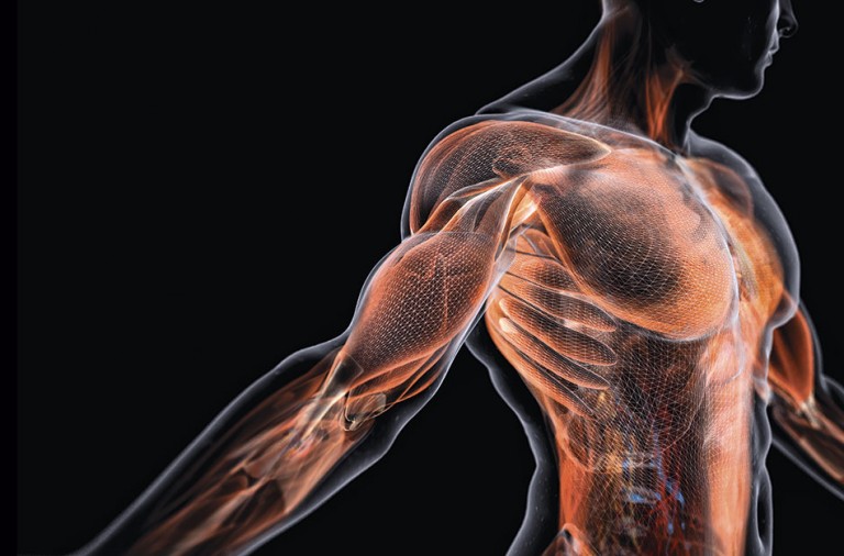 ¿QUÉ ES EL DOLOR MIOFASCIAL Y CÓMO ALIVIARLO?