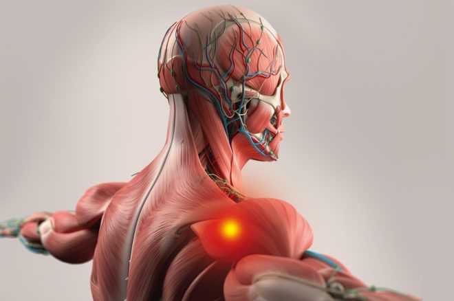 MÚSCULOS HECHOS BOLAS, ¿MITO O REALIDAD?