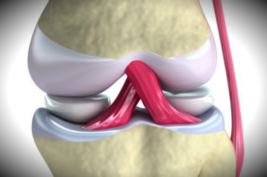 ¿POR QUÉ TRUENAN LOS HUESOS?