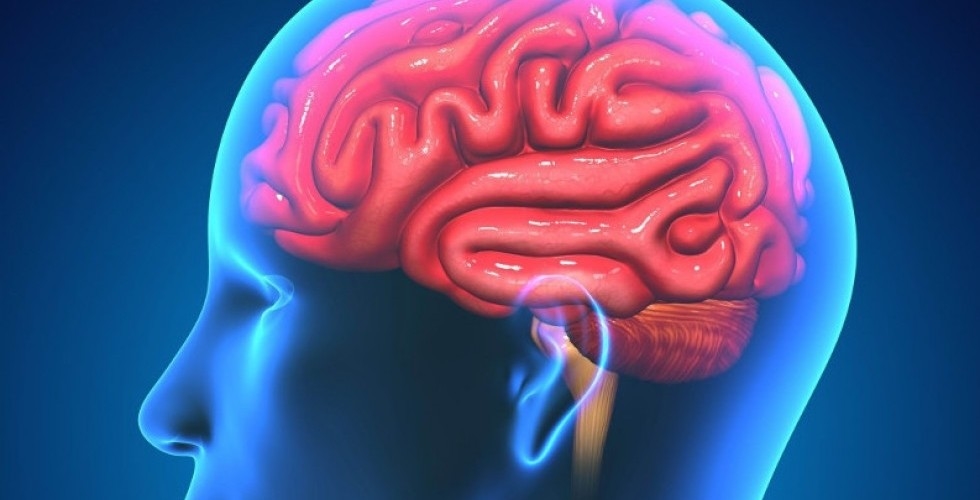 SIGNOS DE ALARMA PRESENTES AL PADECER UN EVC